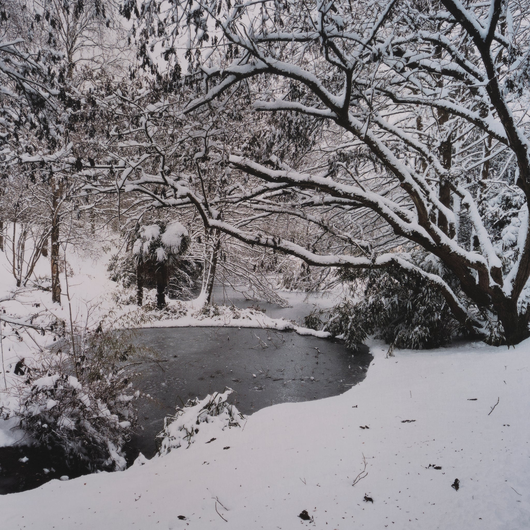 Jem Southam — The River Winter