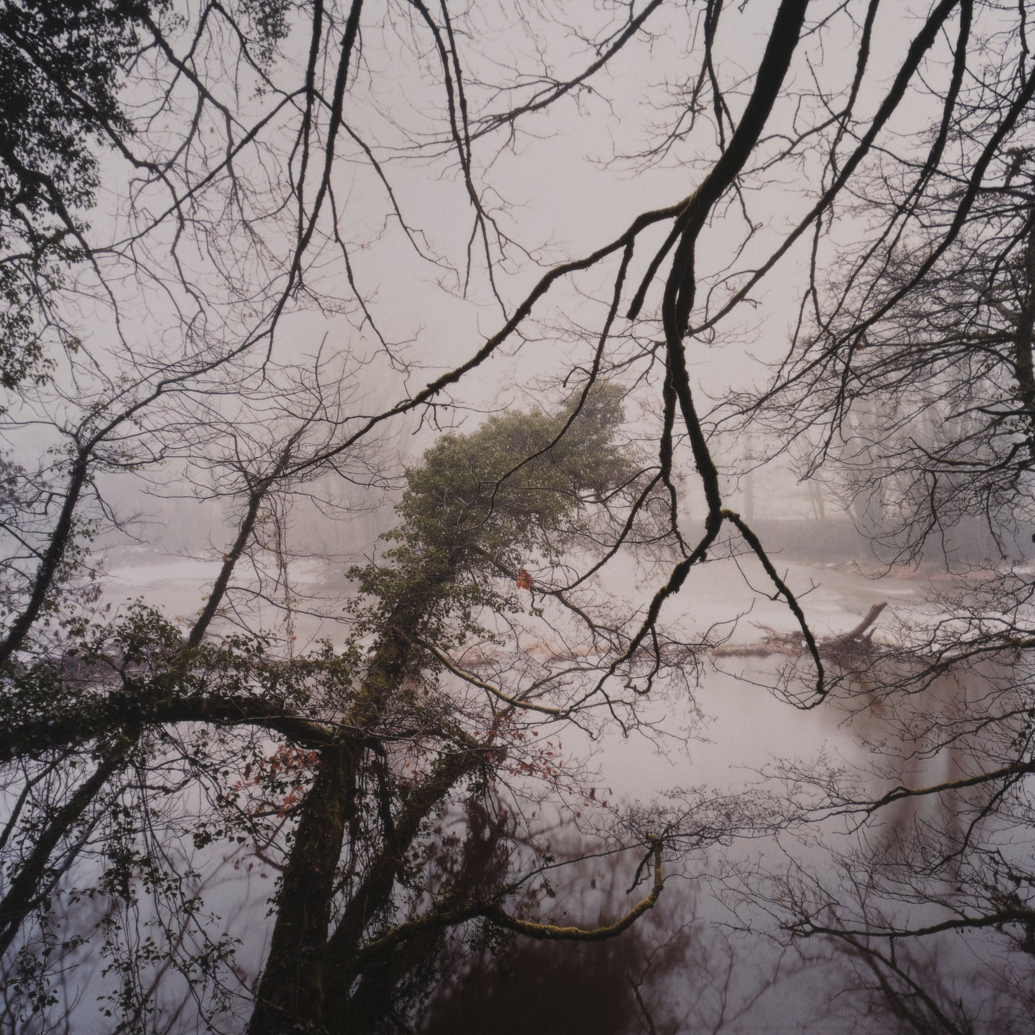 Jem Southam — The River Winter