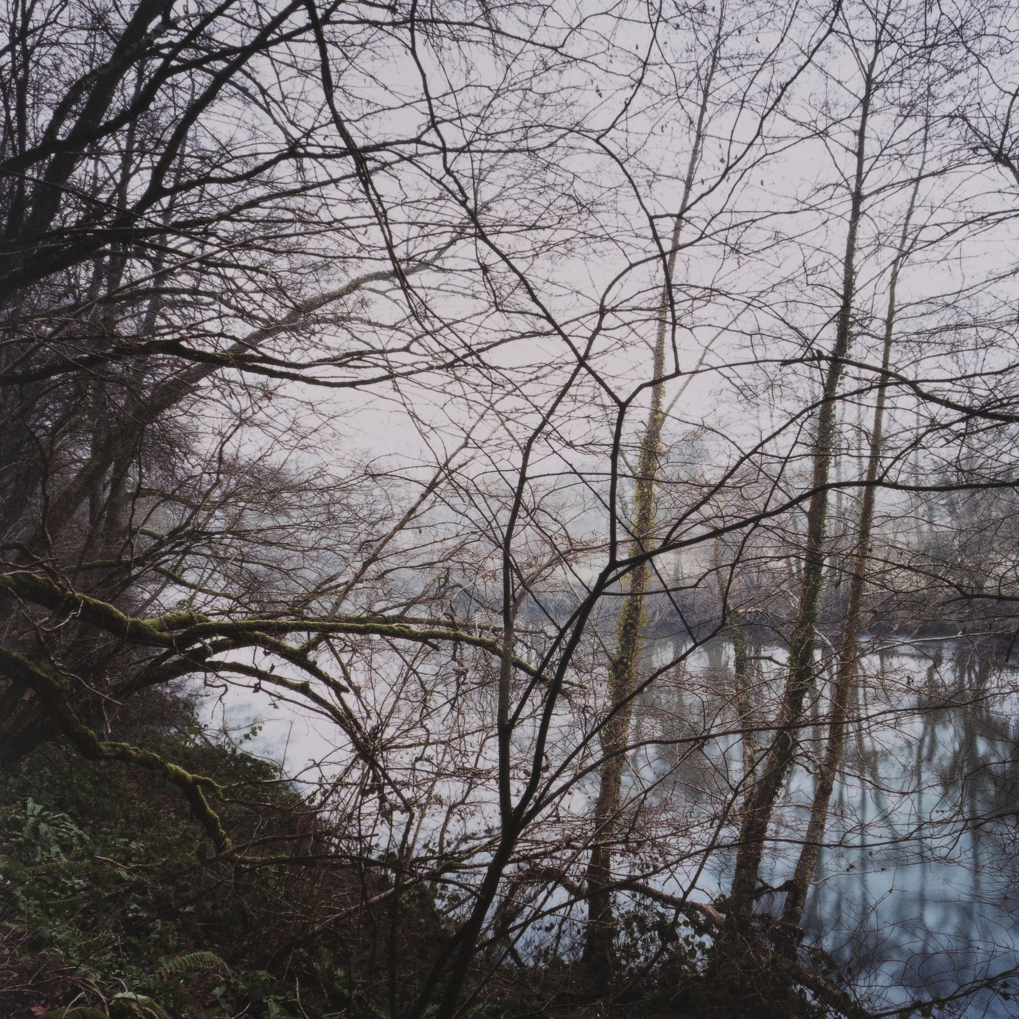 Jem Southam — The River Winter