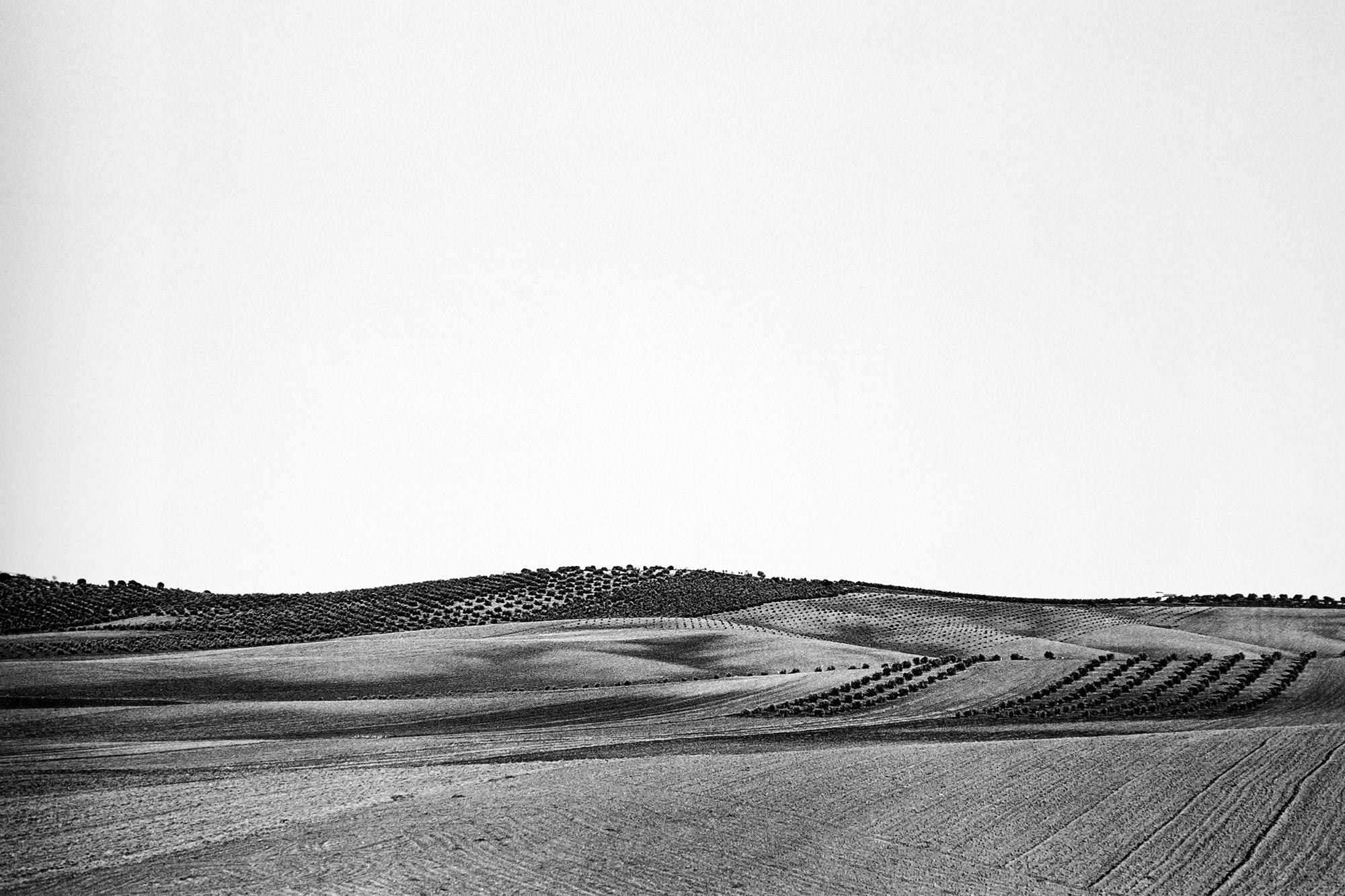 Michael Schmidt — Lebensmittel
