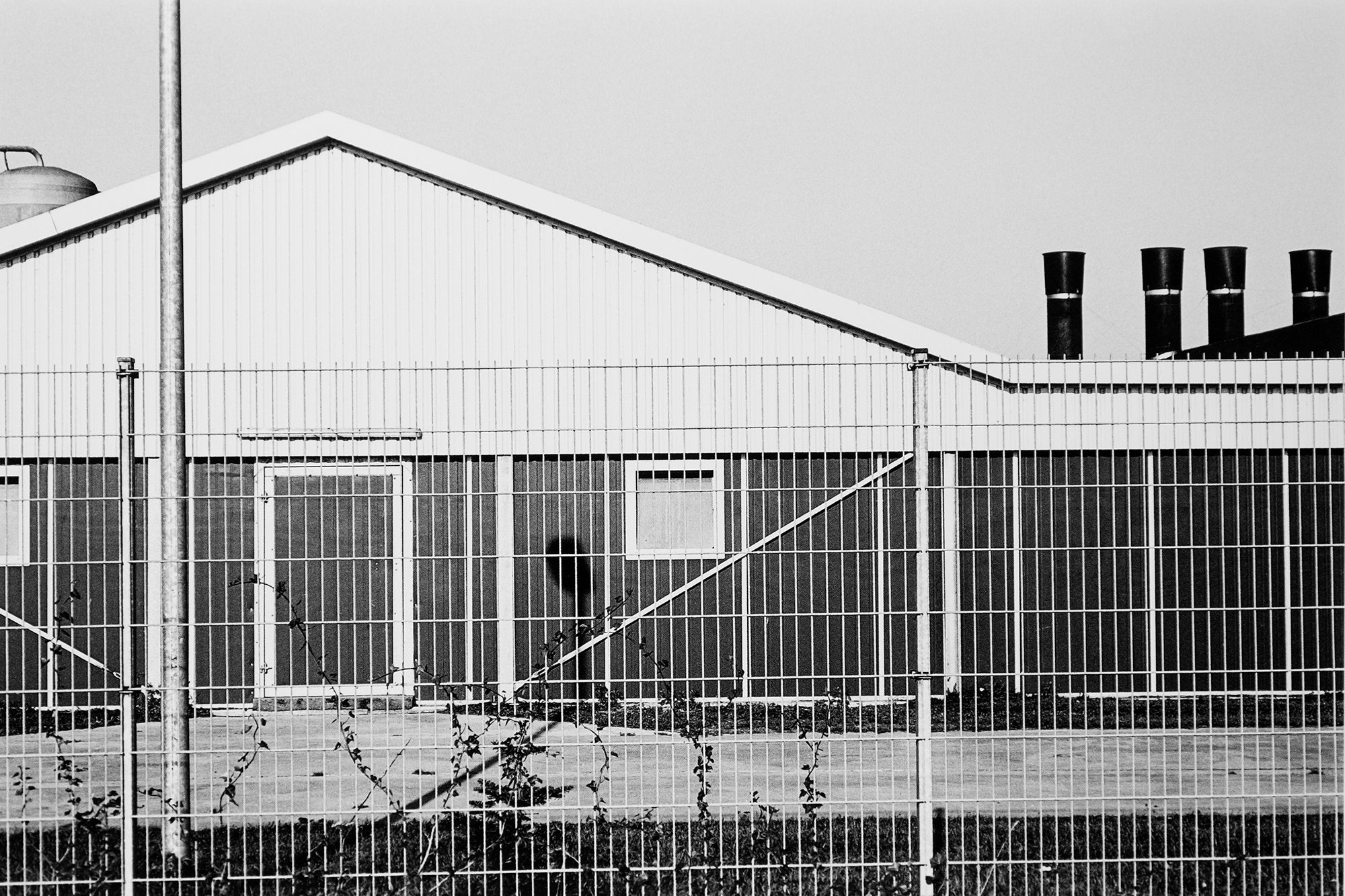 Michael Schmidt — Lebensmittel