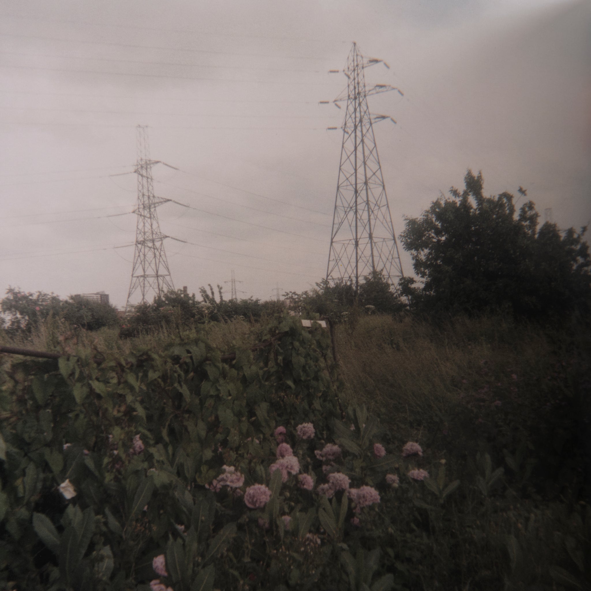 Stephen Gill — Hackney Wick