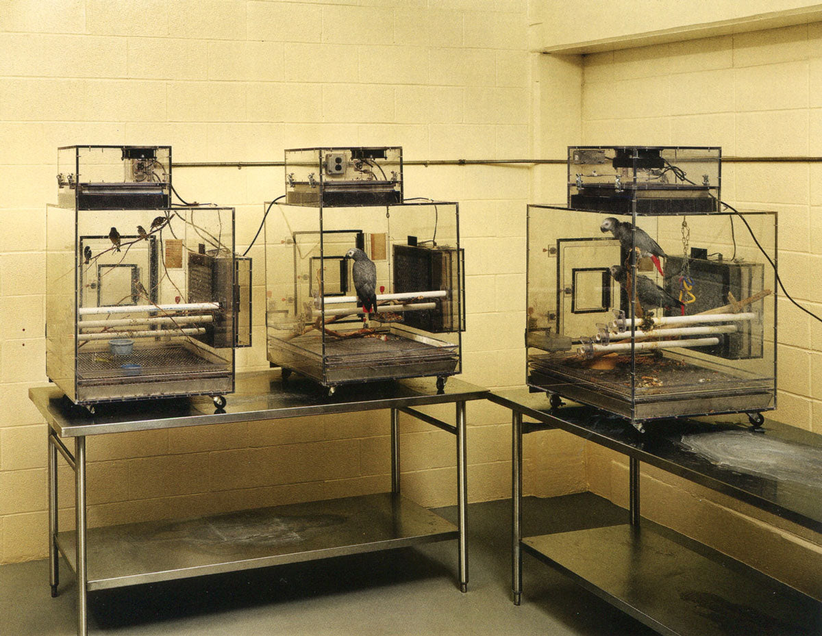 Taryn Simon — An American Index of the Hidden and Unfamiliar