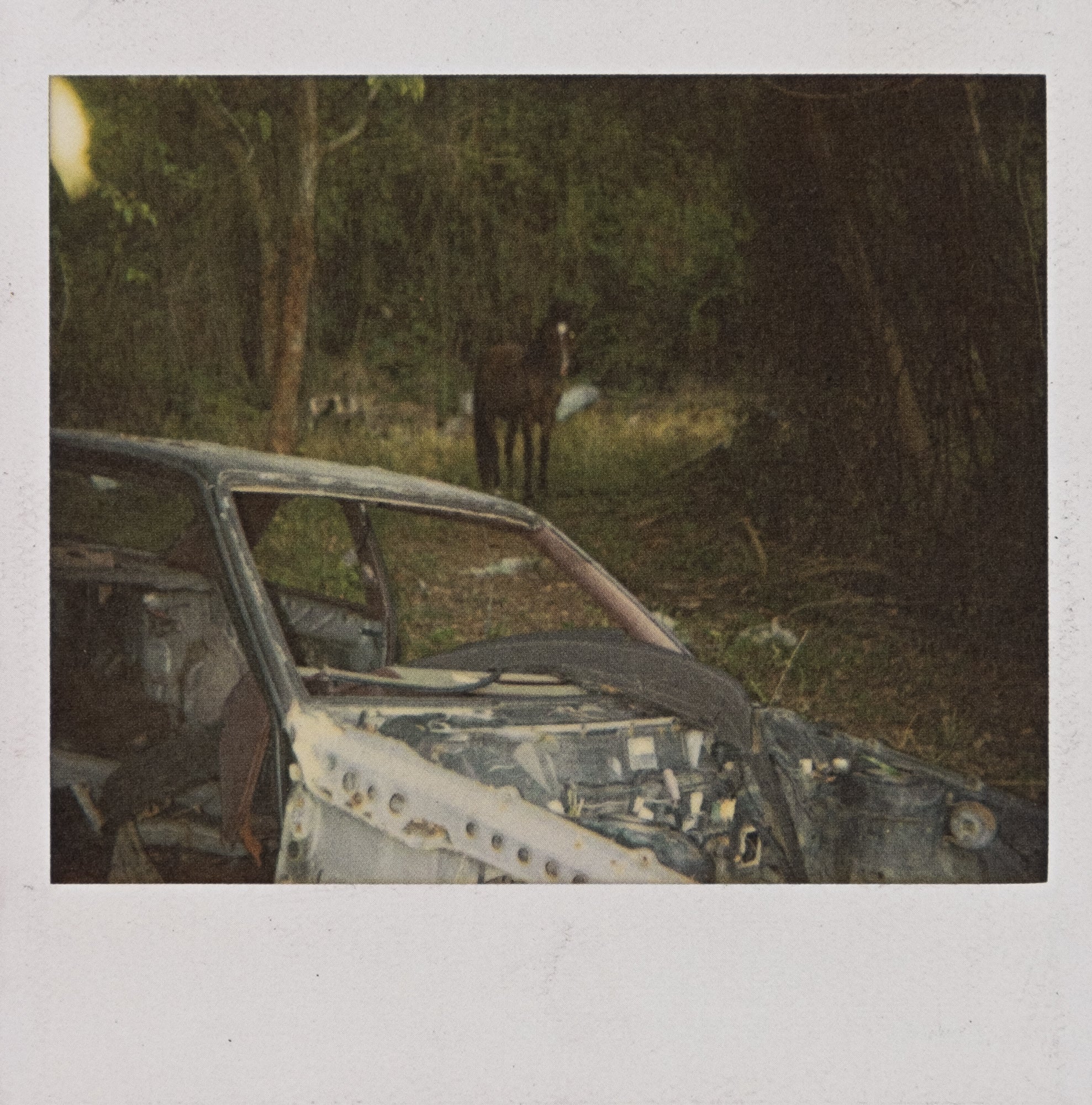 Dash Snow — I Love You, Stupid!