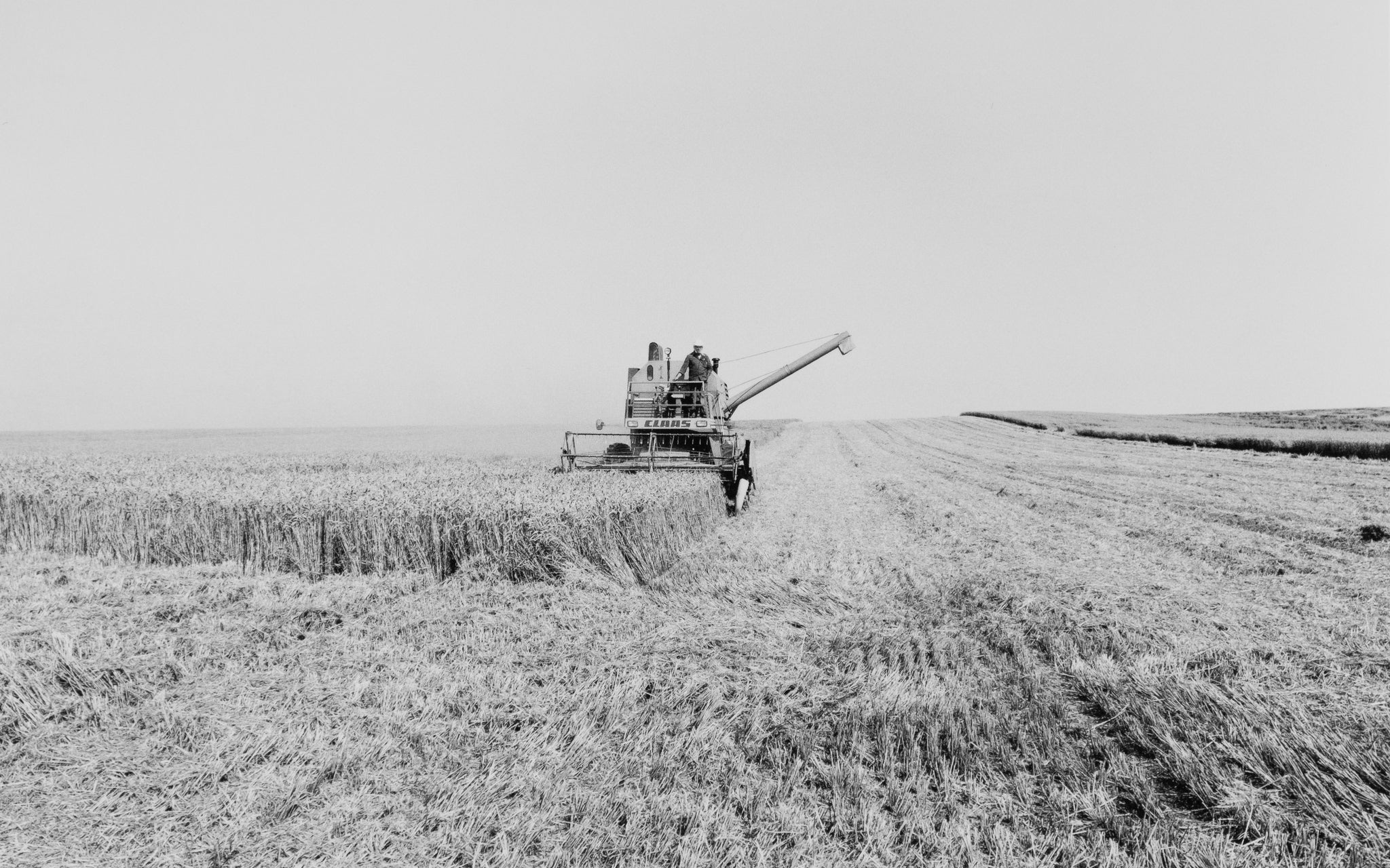 Heinrich Riebesehl — Agrarlandschaften