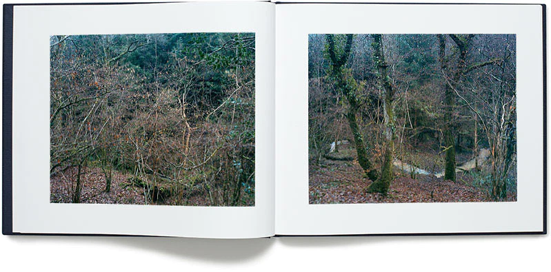 Jem Southam — The River Winter