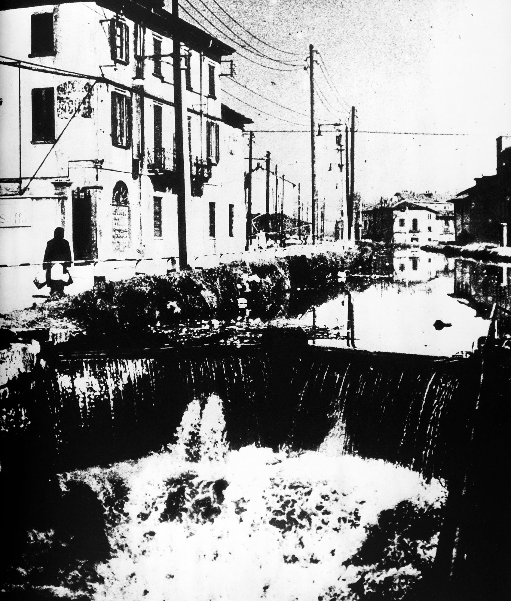 Mario Carrieri — Milano, Italia