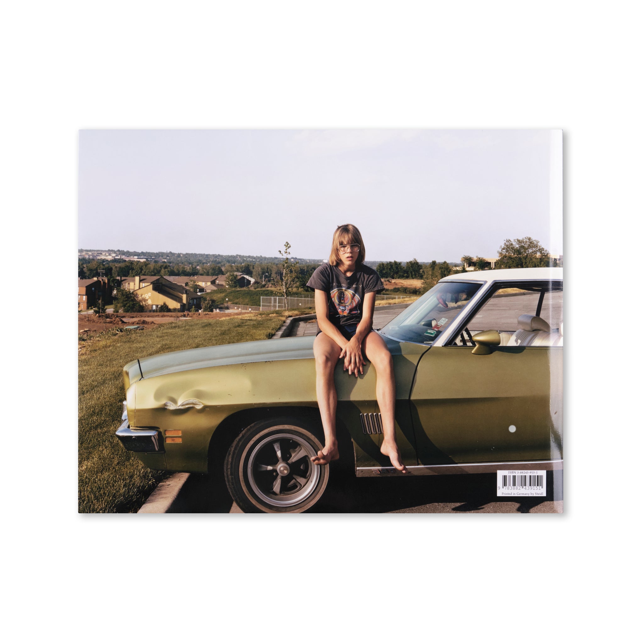 Joel Sternfeld - American Prospects