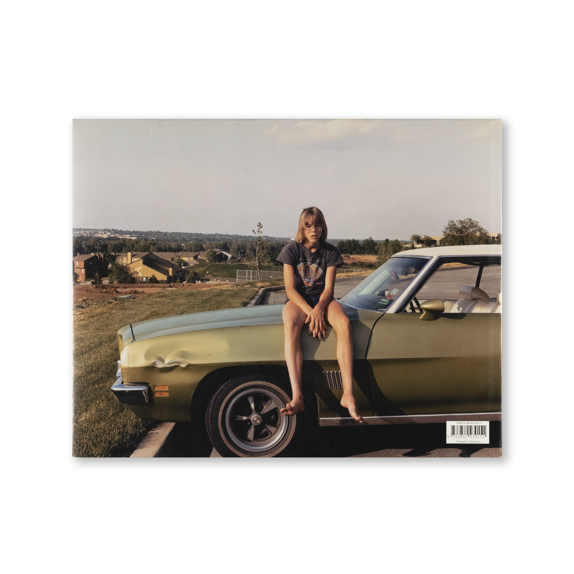 Joel Sternfeld — American Prospects