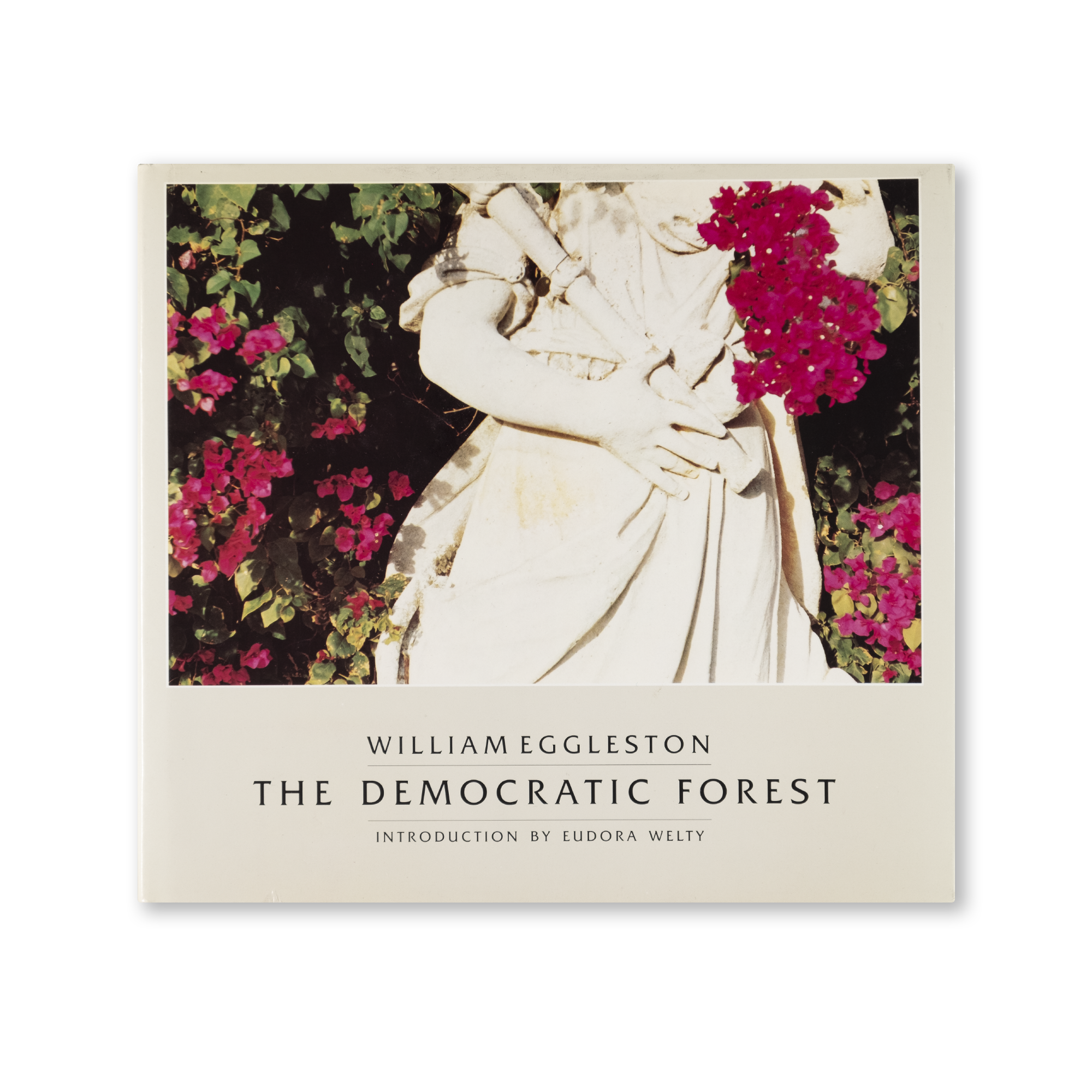 William Eggleston - The Democratic Forest
