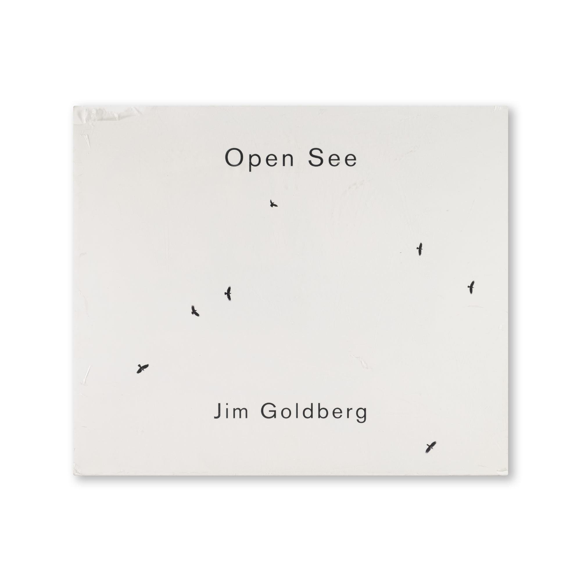Jim Goldberg — Open See