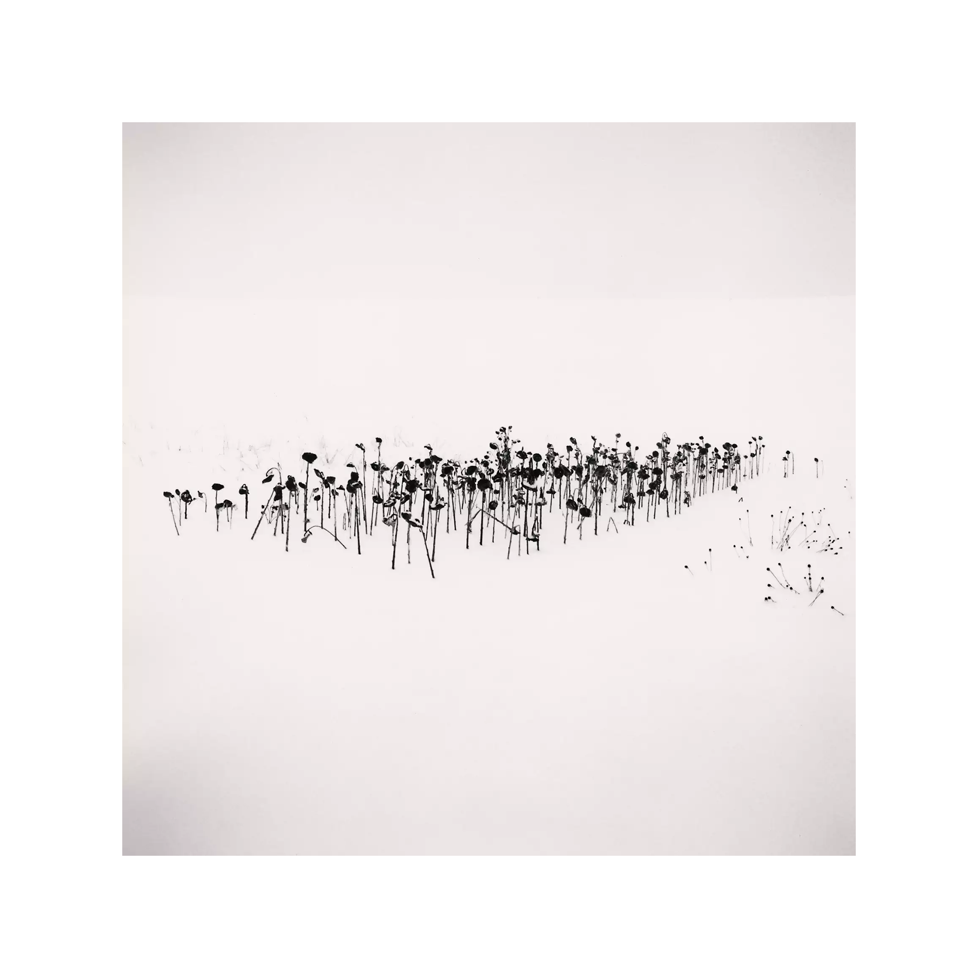 Michael Kenna - Hokkaido