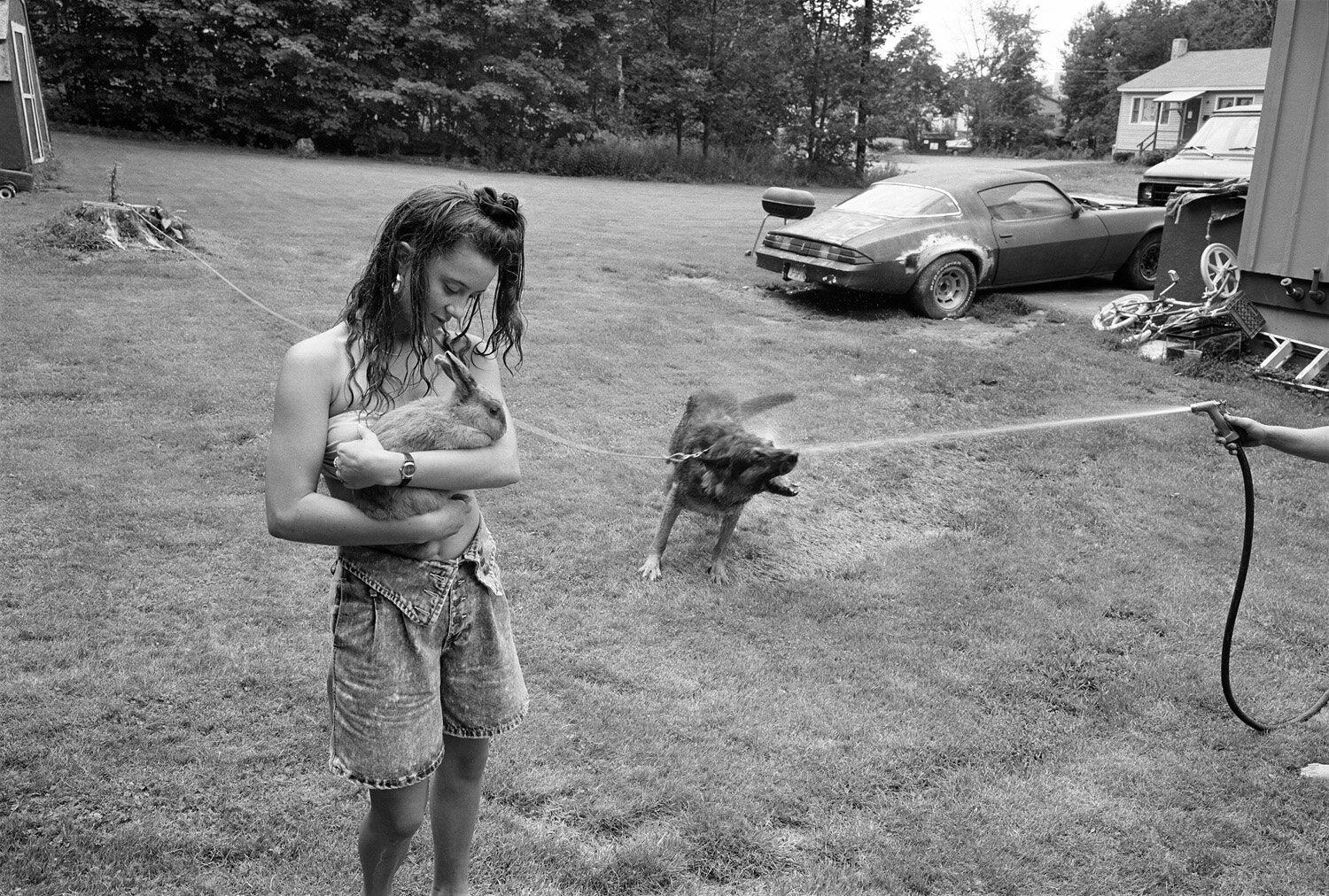 Sage Sohier — Animals