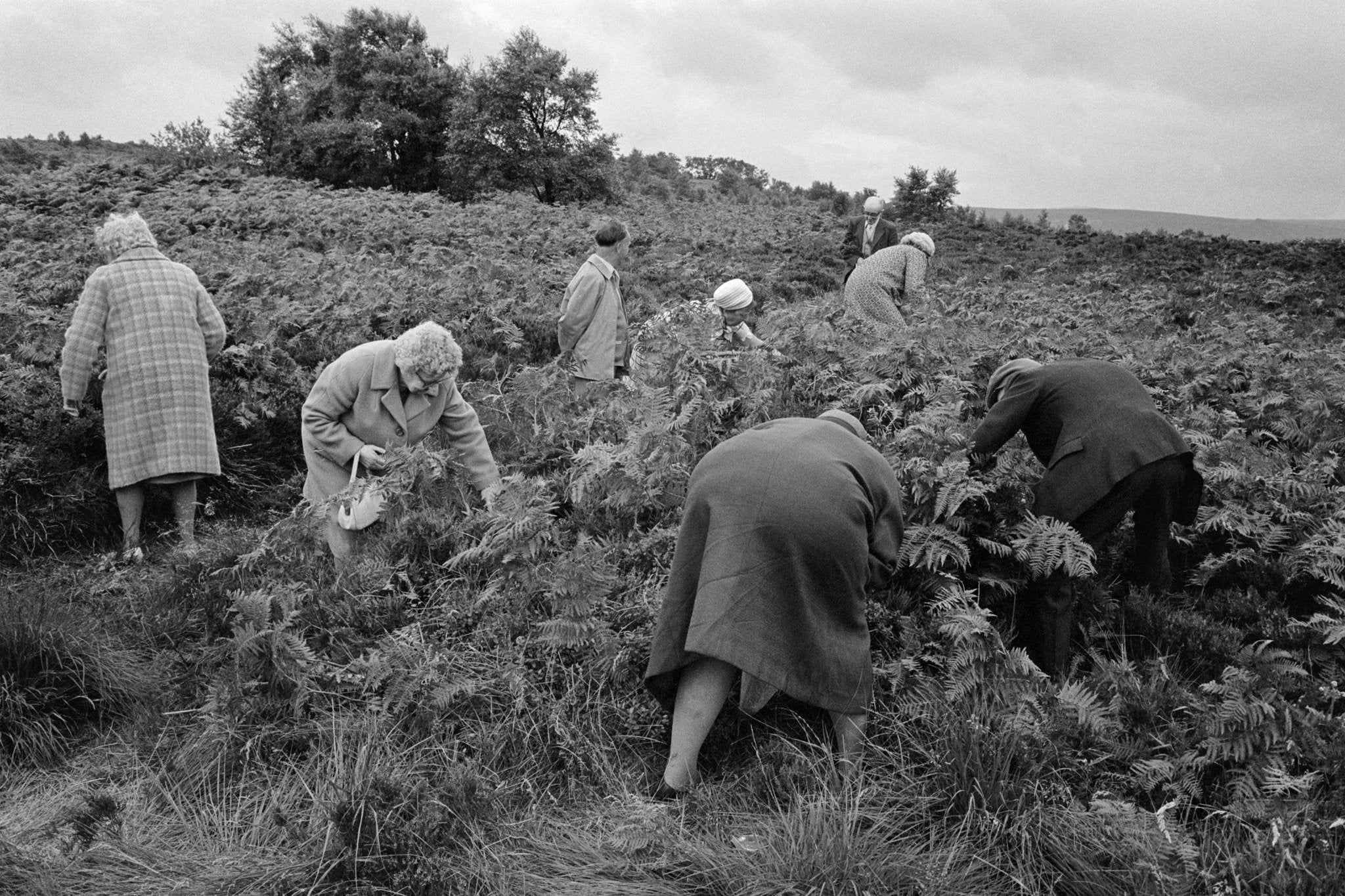 Martin Parr — Early Works