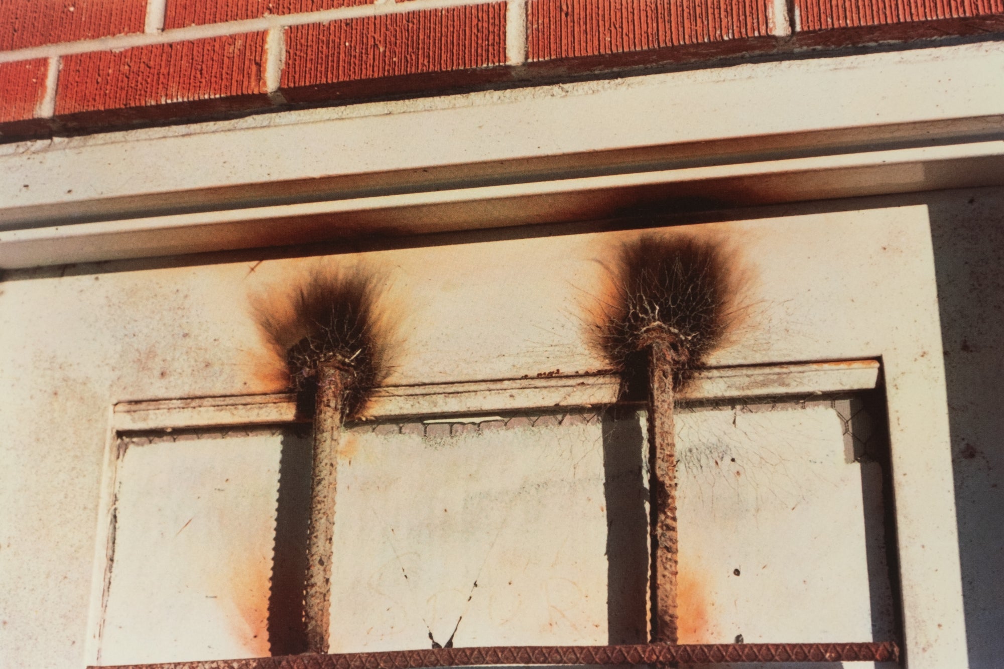 William Eggleston — Los Alamos