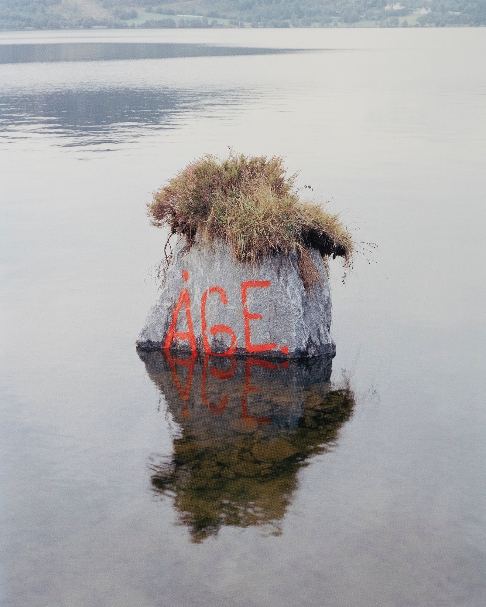 Torbjørn Rødland — I Want To Live Innocent