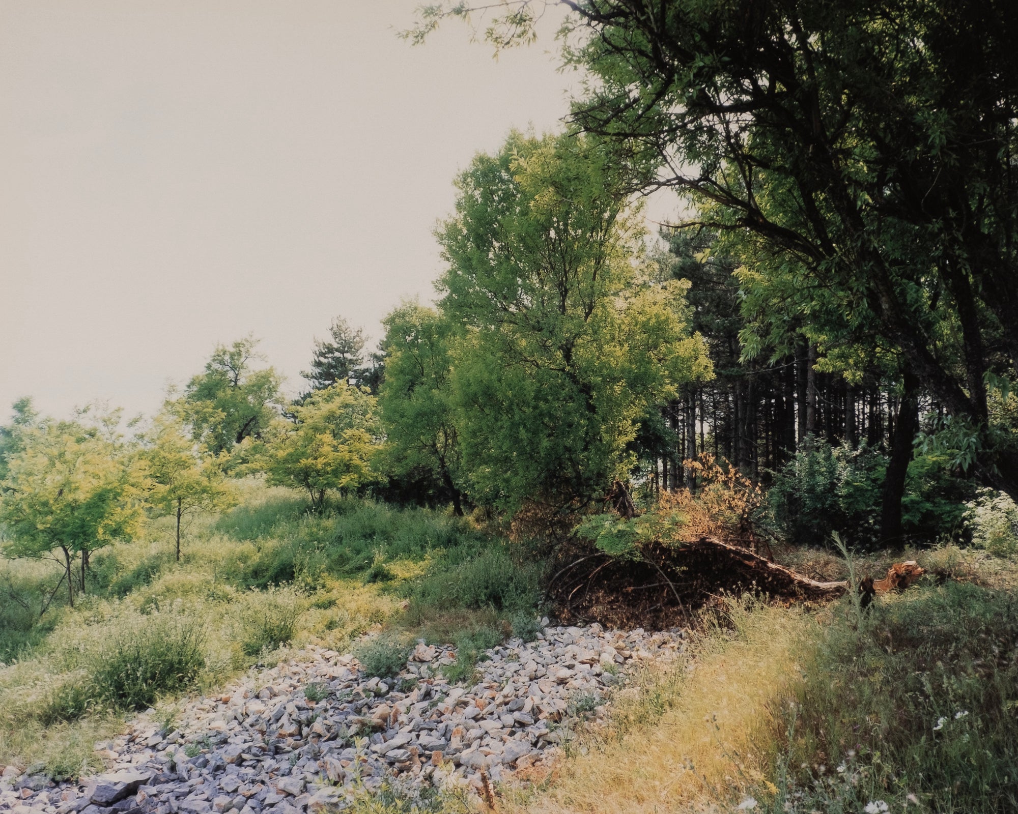 Cuny Janssen — Macedonia