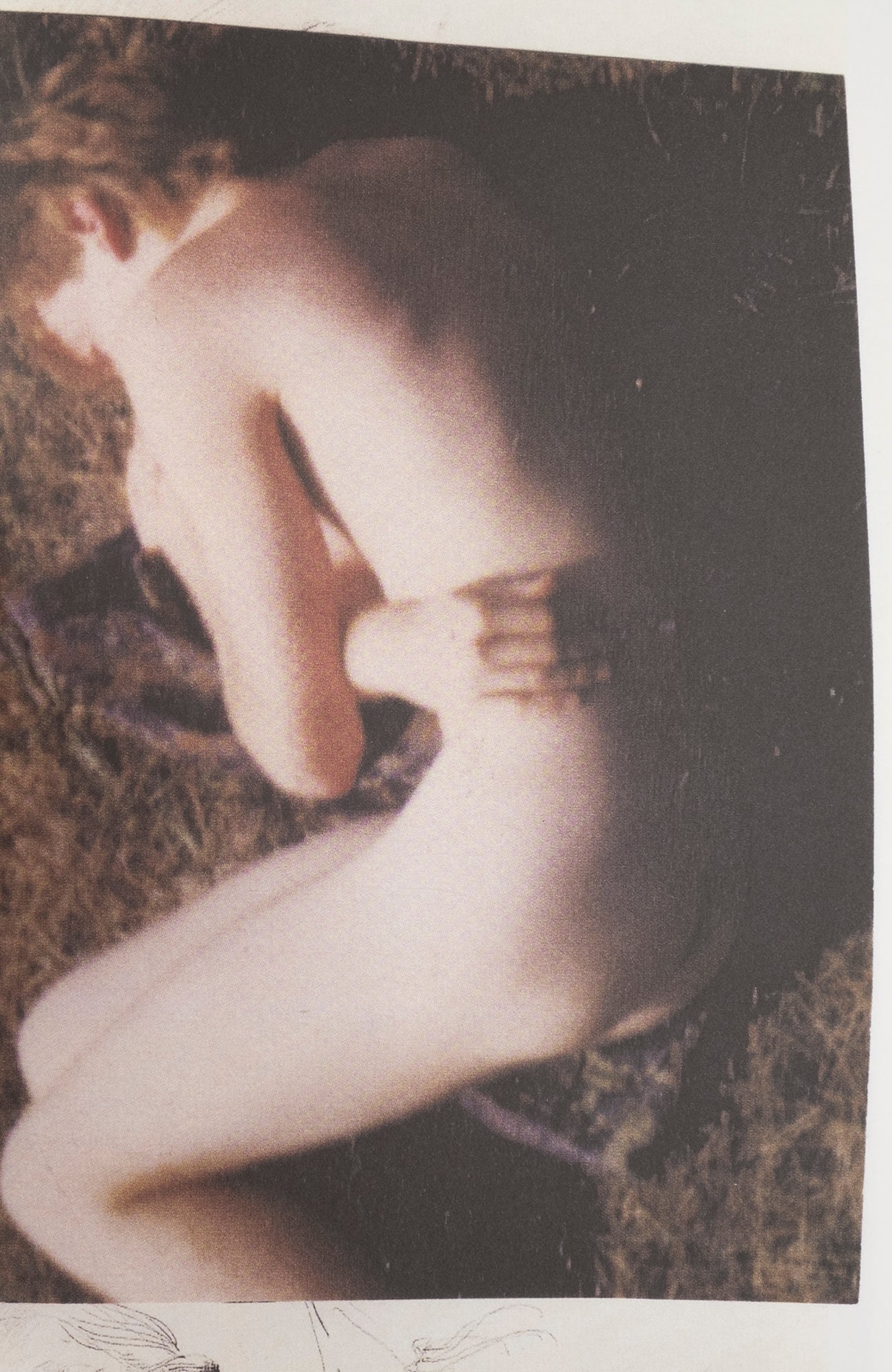 Collier Schorr — Contacts