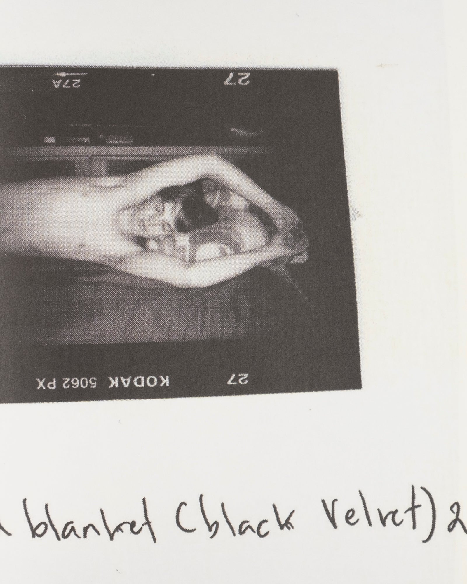 Collier Schorr — Contacts