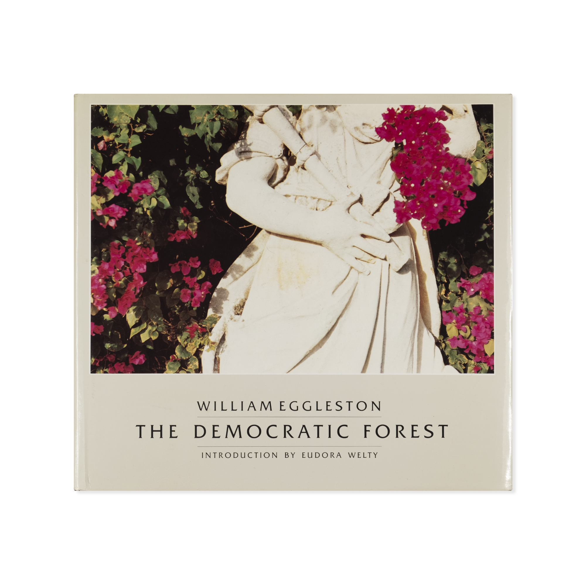 William Eggleston — The Democratic Forest