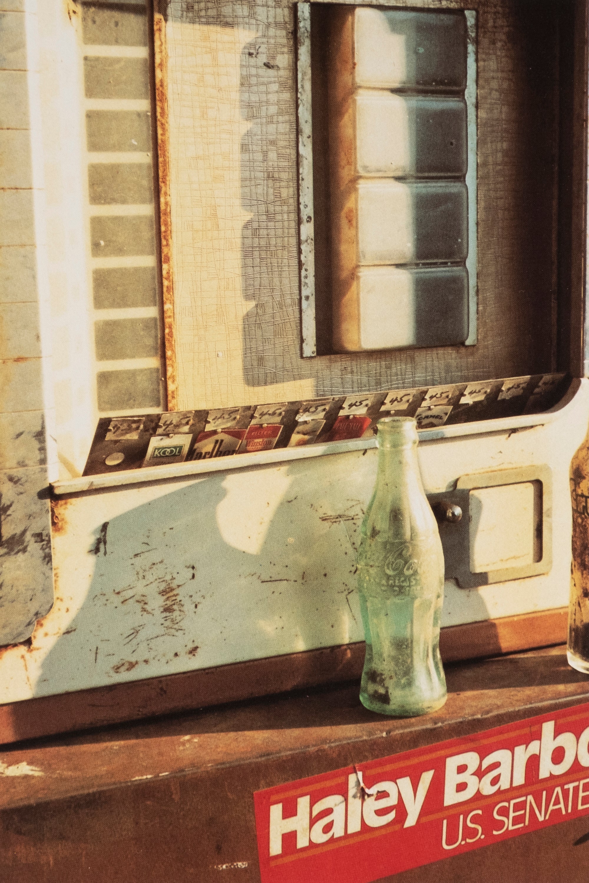 William Eggleston — The Democratic Forest
