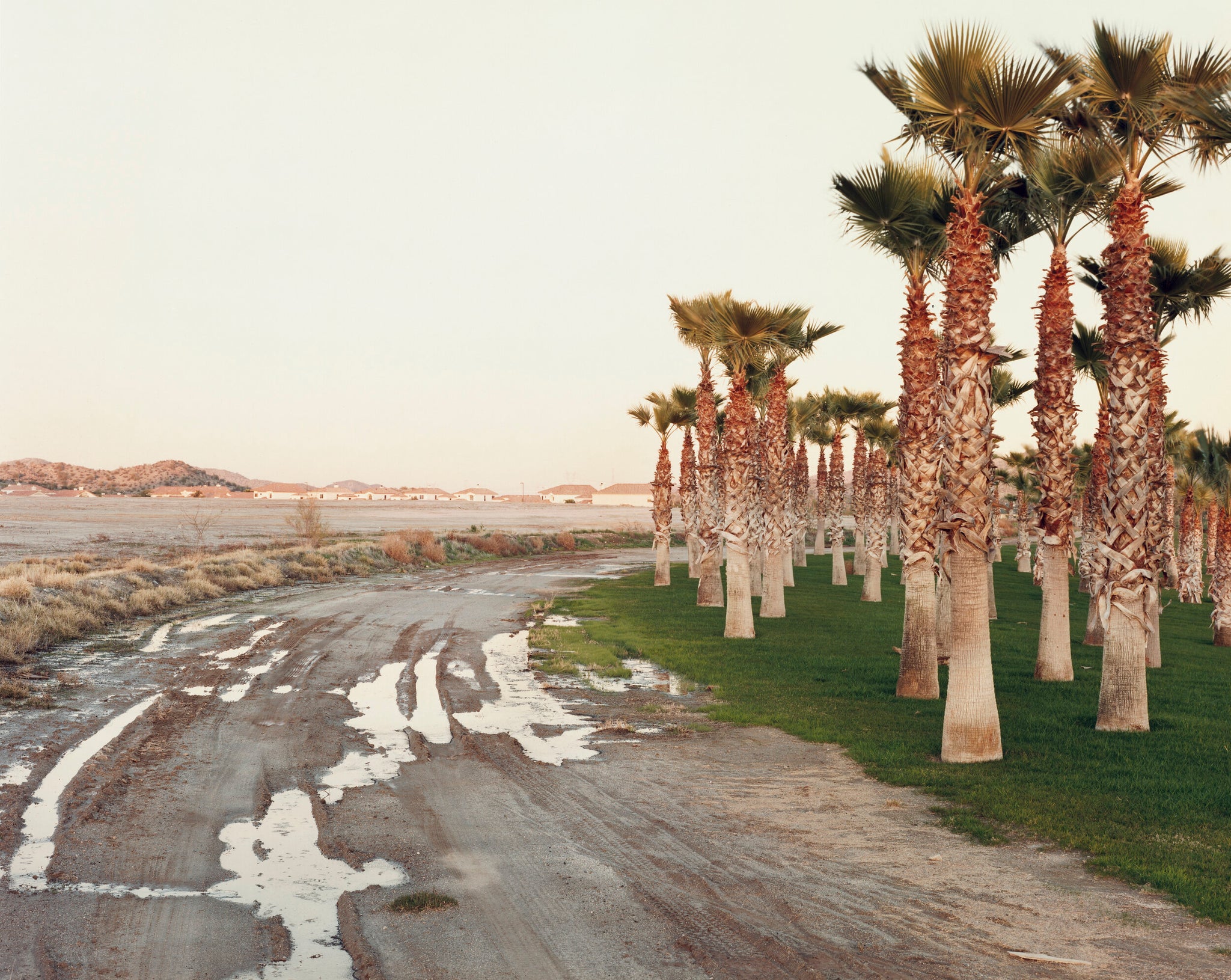Joel Sternfeld — Tatorte (On This Site)