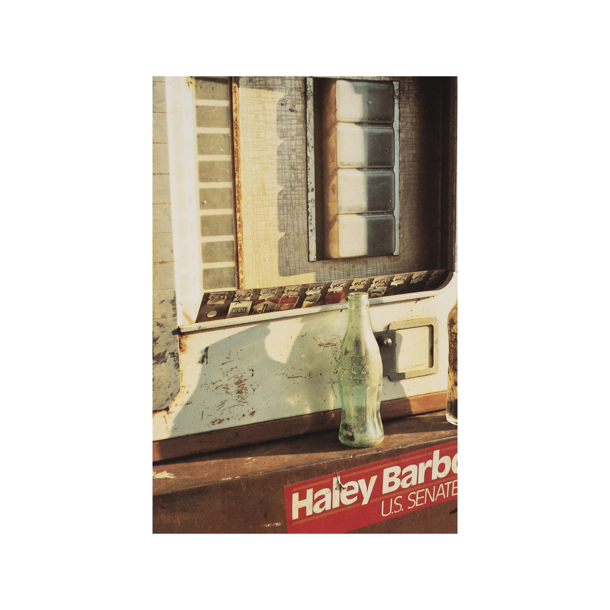 William Eggleston - The Democratic Forest