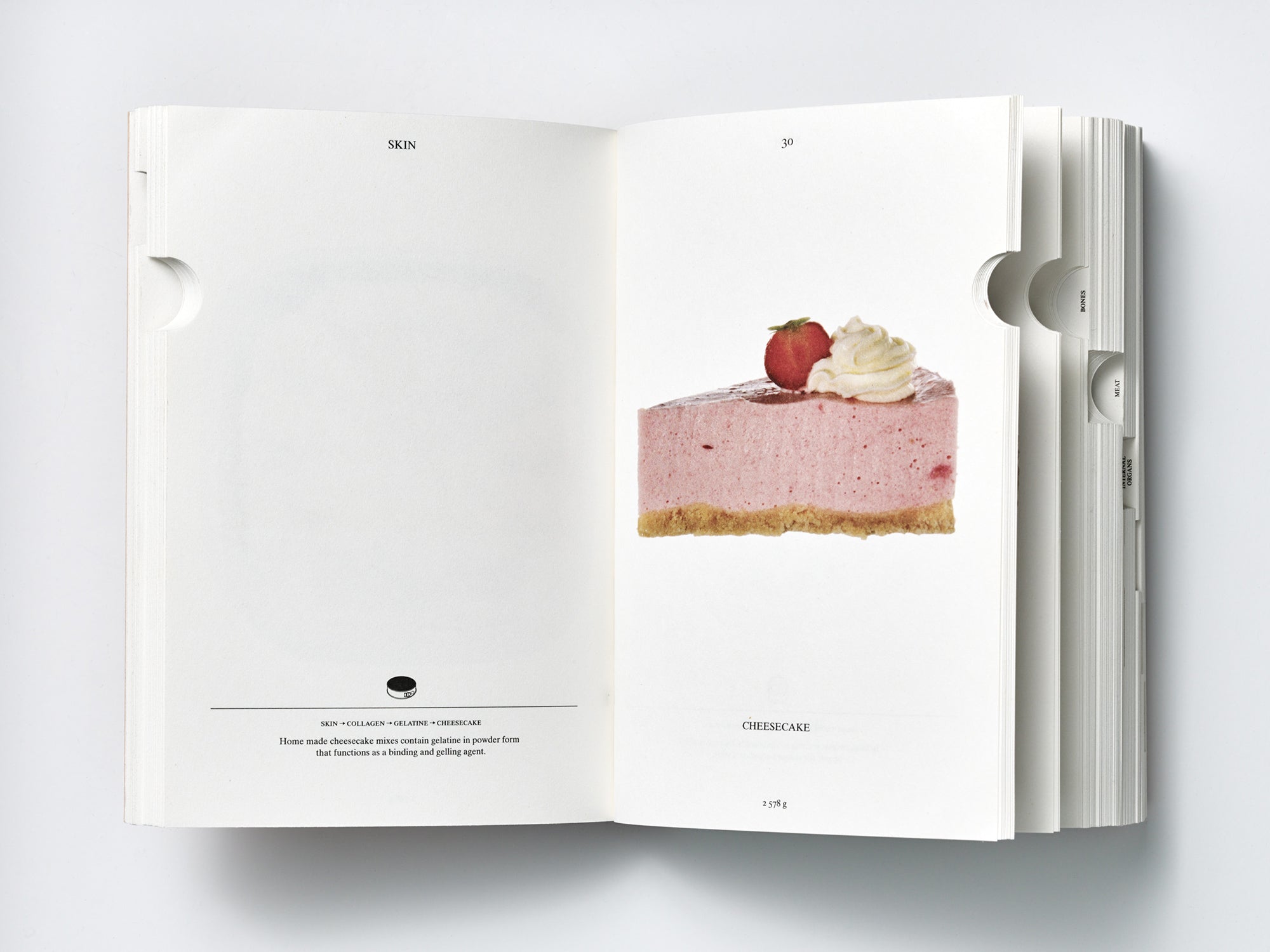 Christien Meidertsma — PIG 05049