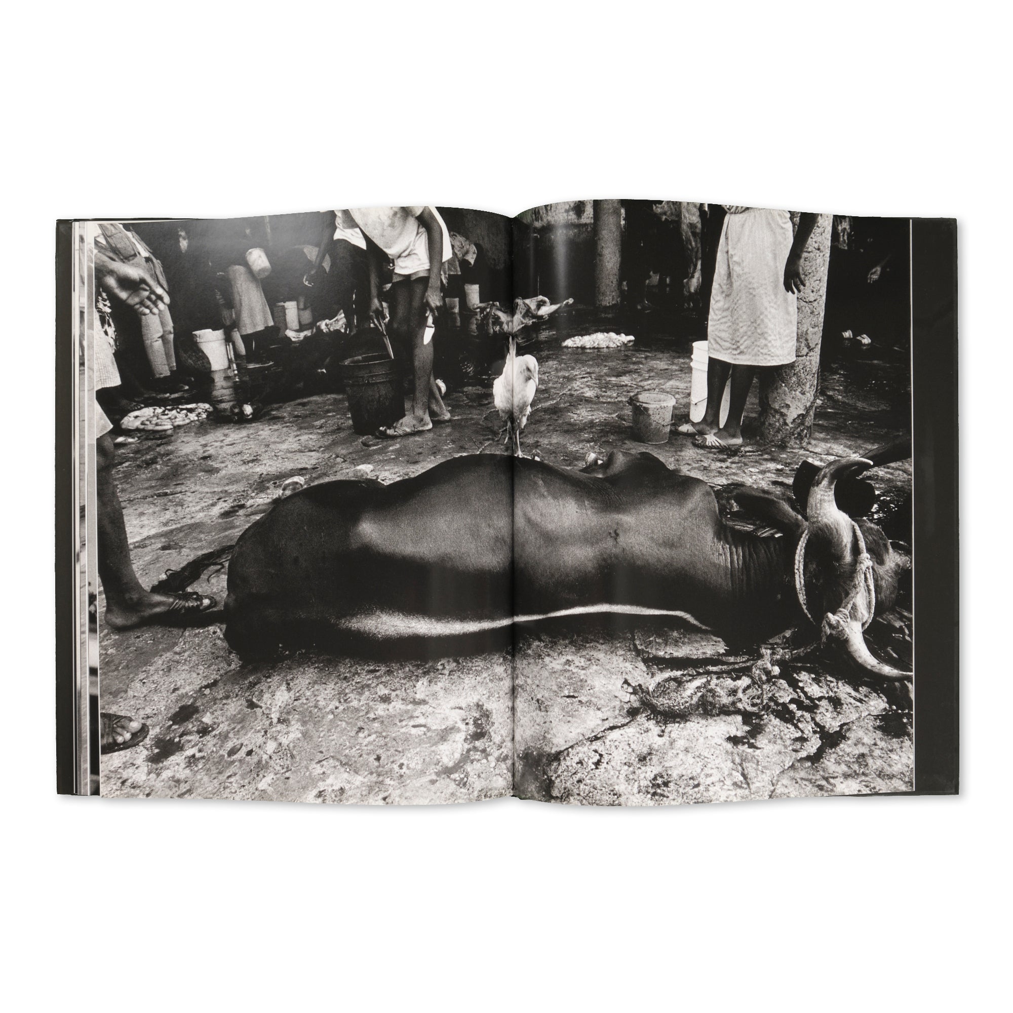 Bruce Gilden - Haïti