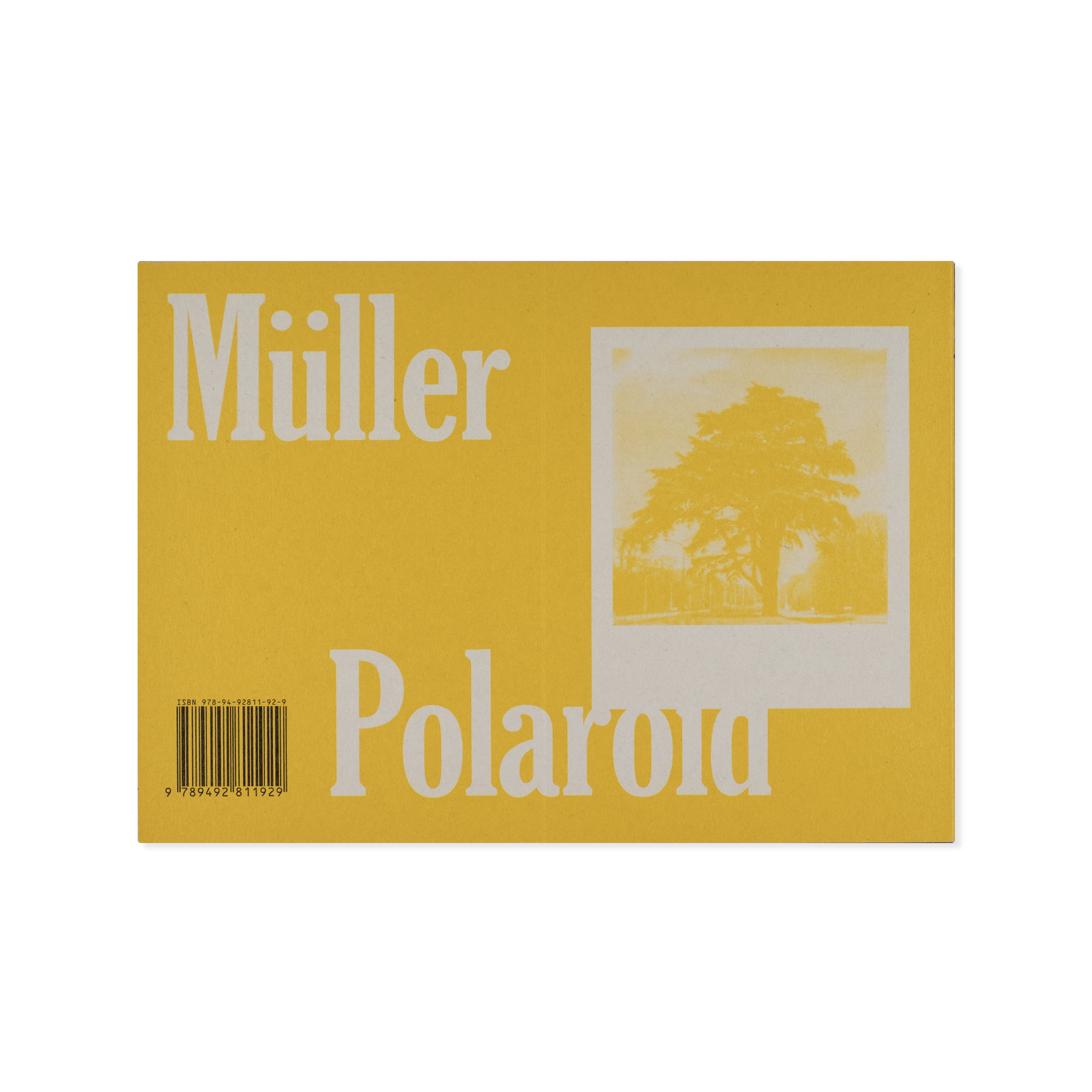 Robby Müller — Flora Polaroids