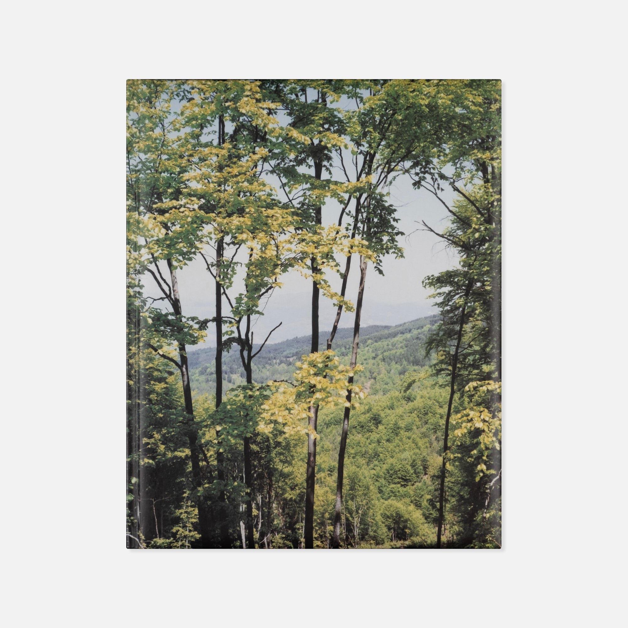 Cuny Janssen — Macedonia