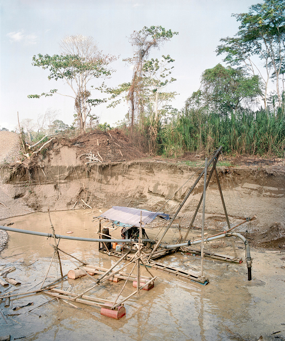 Yann Gross — The Jungle Book