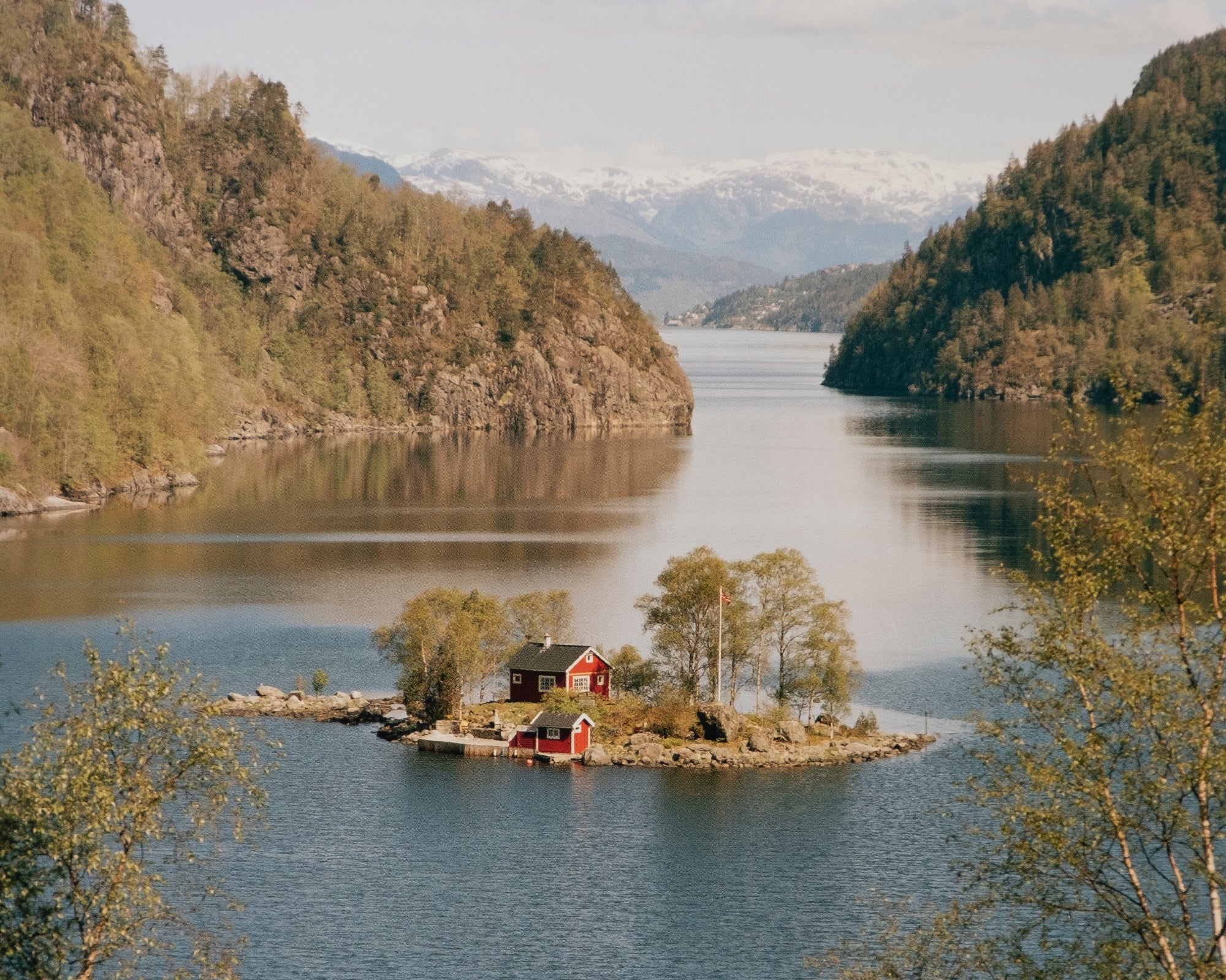Torbjørn Rødland — I Want To Live Innocent