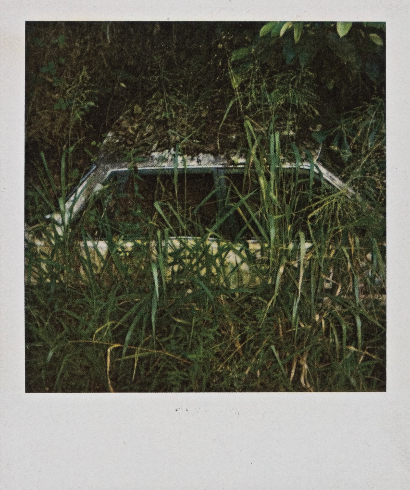 Dash Snow — I Love You, Stupid!