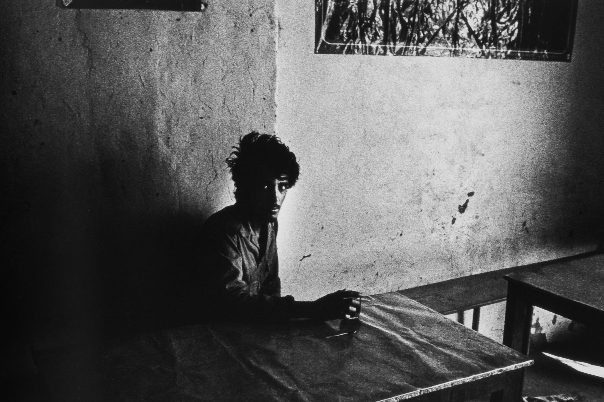 Paulo Nozolino — Penumbra