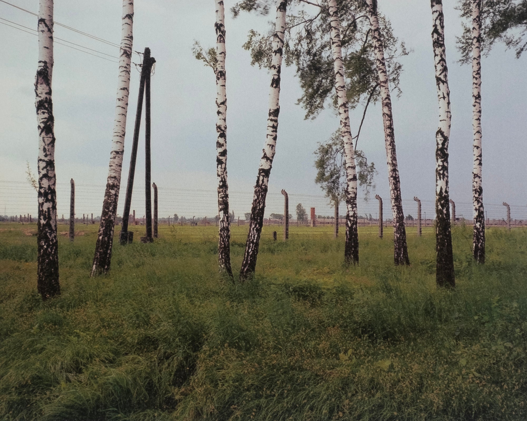 Andreas Magdanz — Auschwitz-Birkeneau