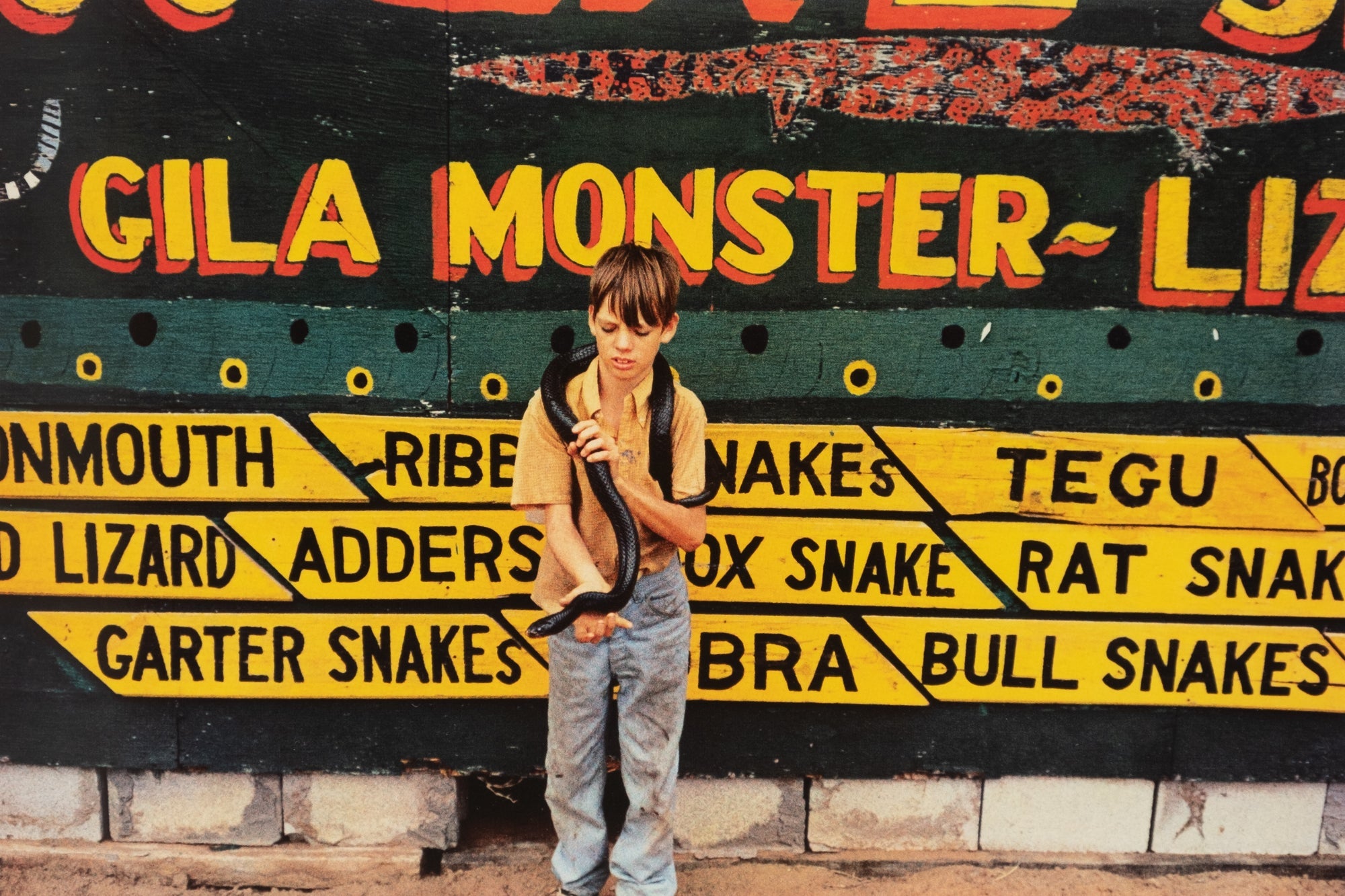William Eggleston — Los Alamos