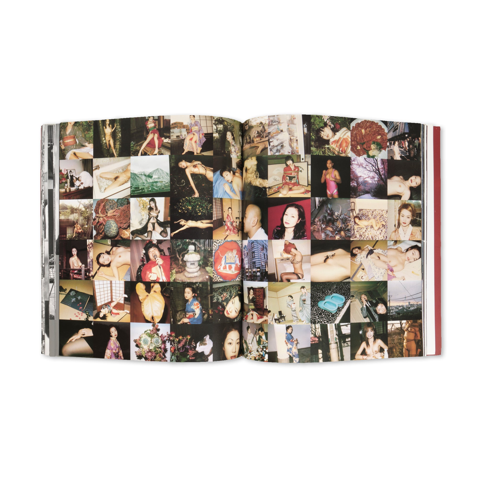 Nobuyoshi Araki — Journey Sentimental