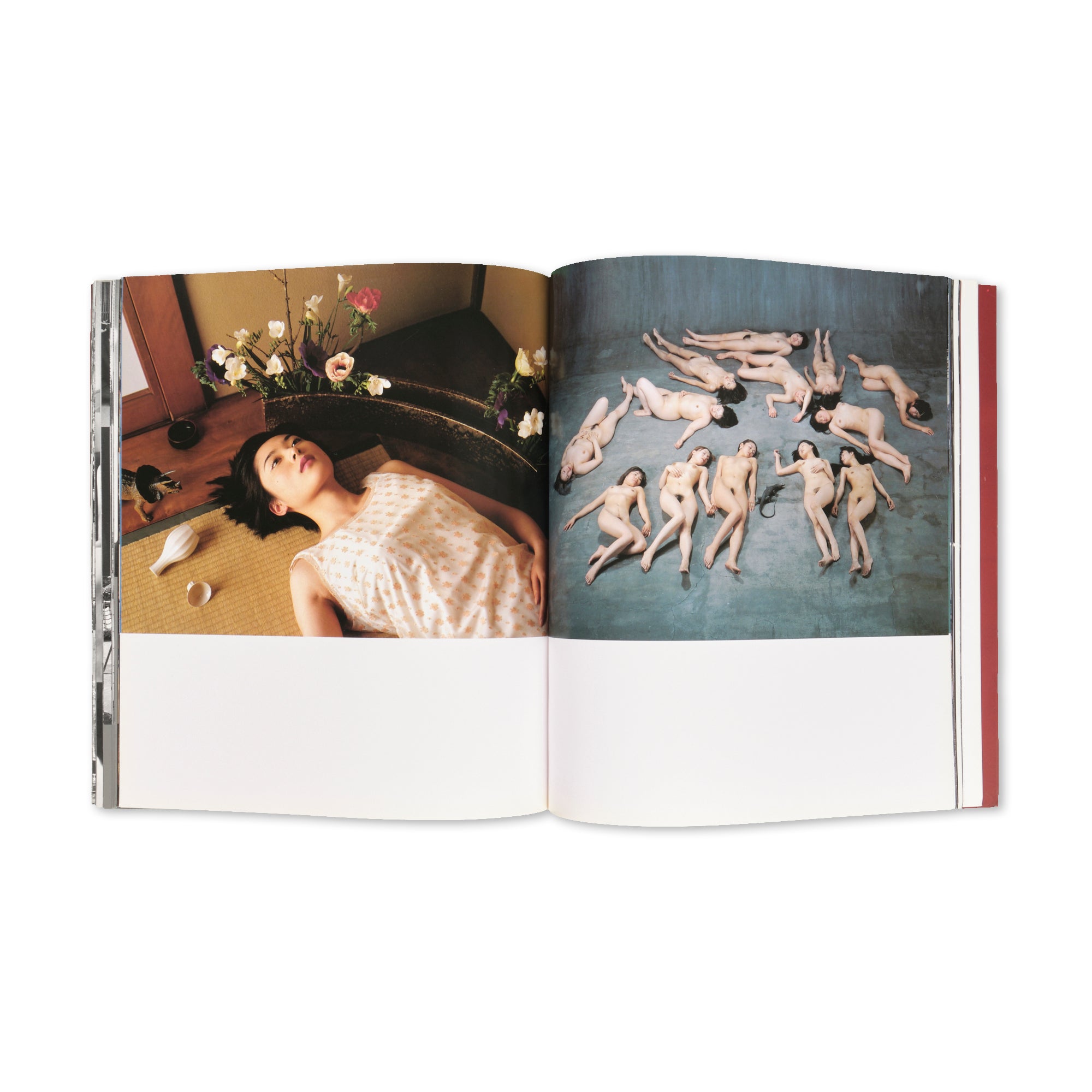 Nobuyoshi Araki — Journey Sentimental