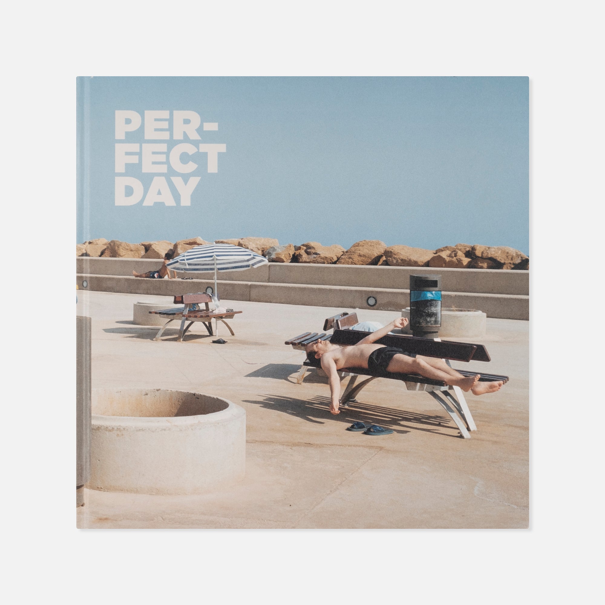 Txema Salvans — Perfect Day