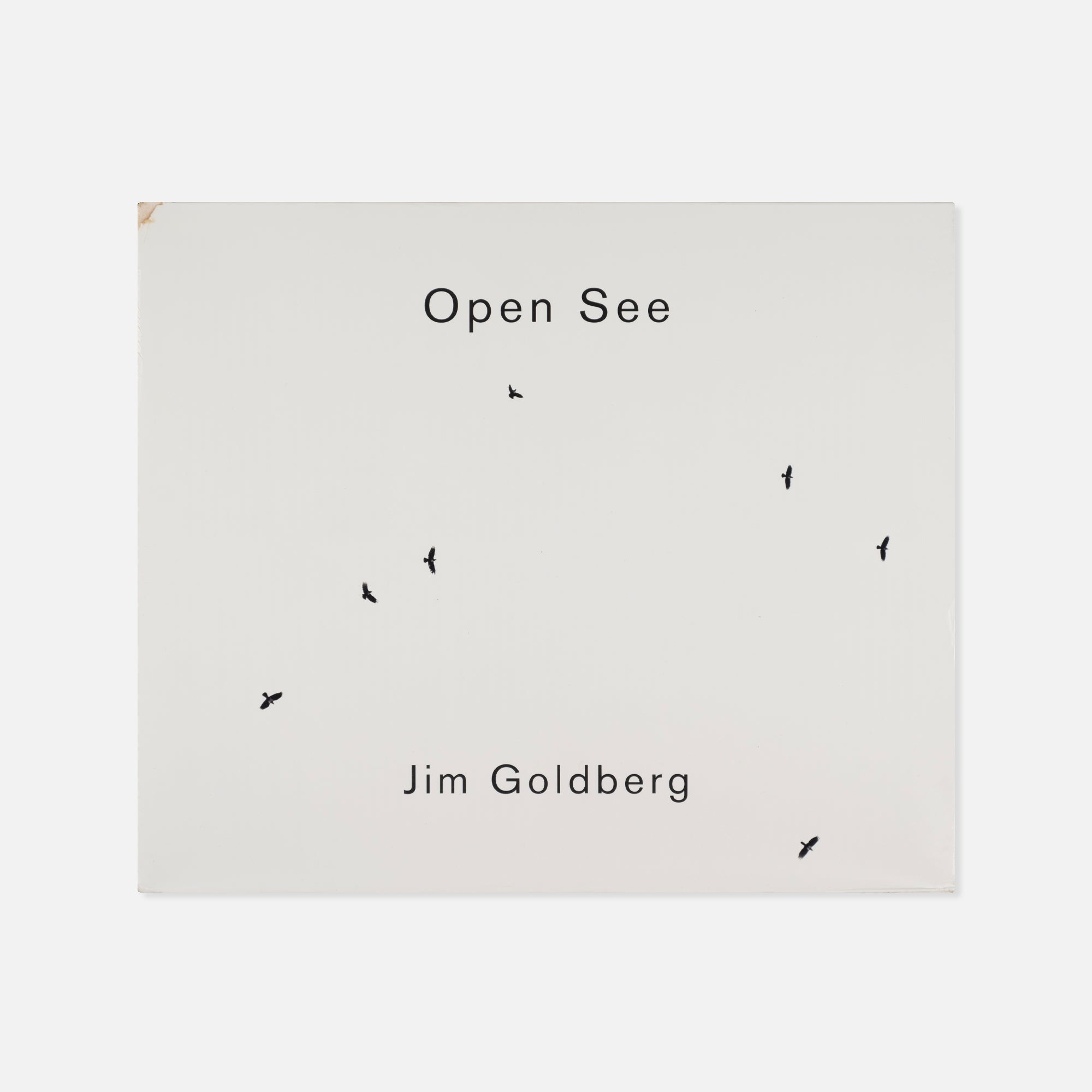 Jim Goldberg — Open See