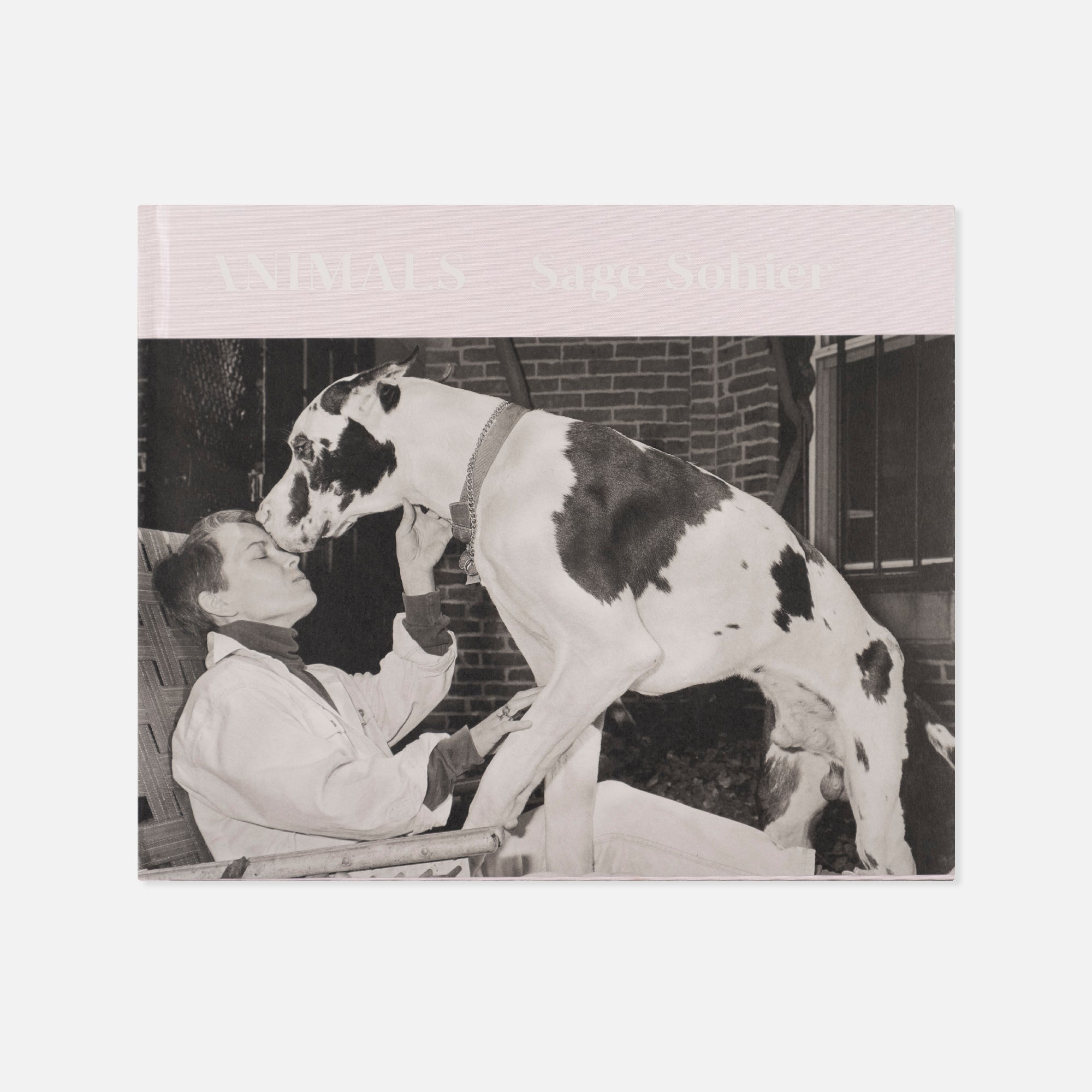 Sage Sohier — Animals