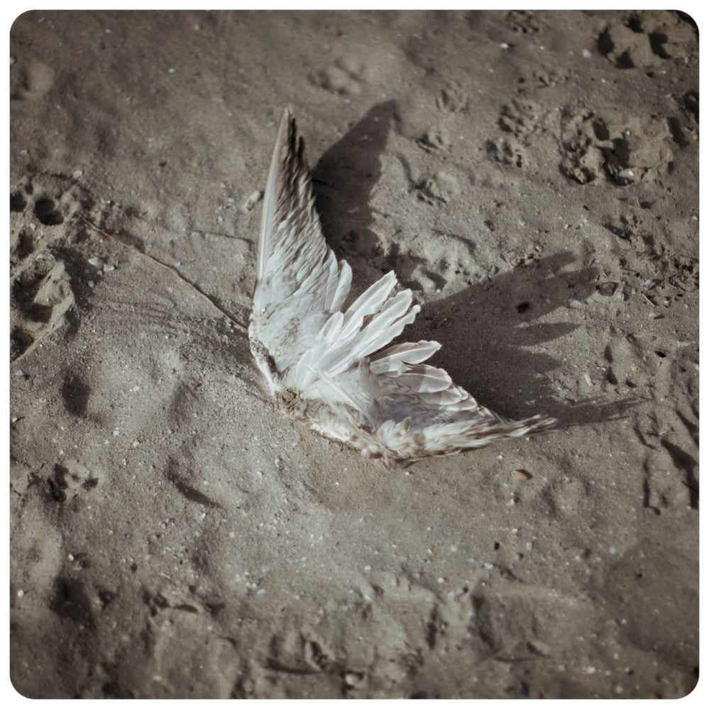Cristina de Middel — The Afronauts