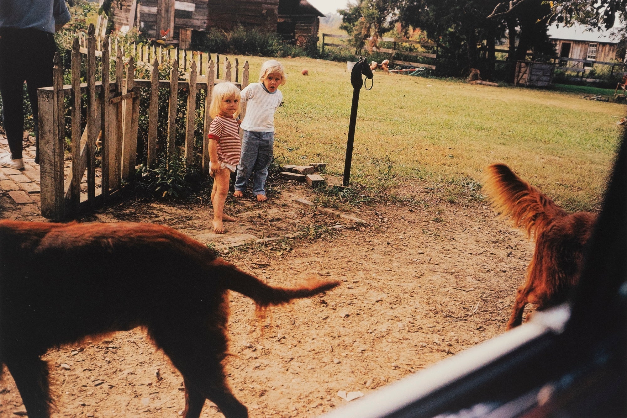William Eggleston — Chromes