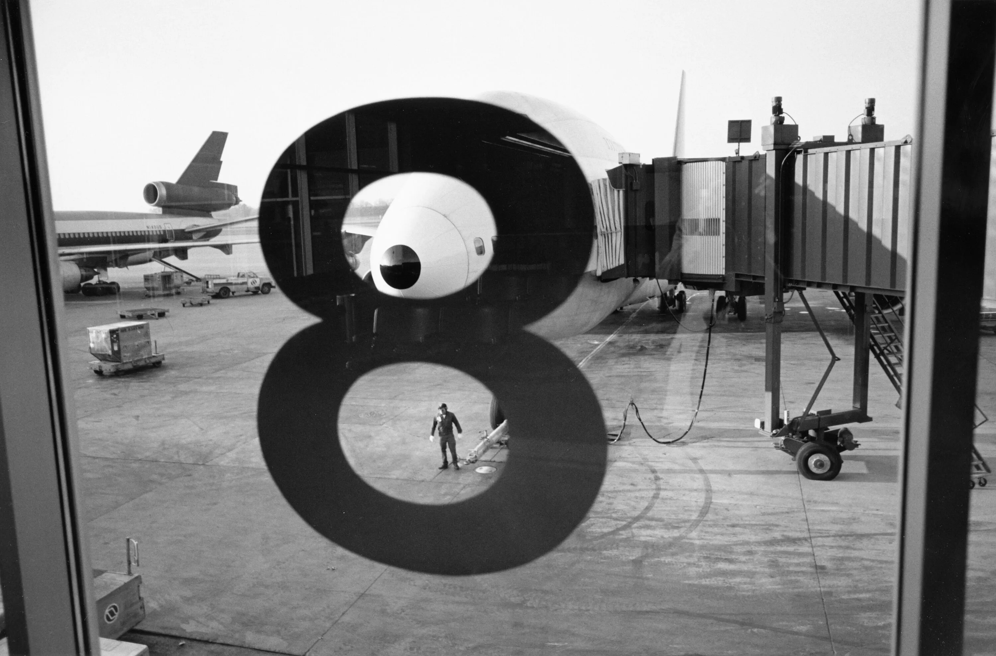 Peter Galassi - Lee Friedlander